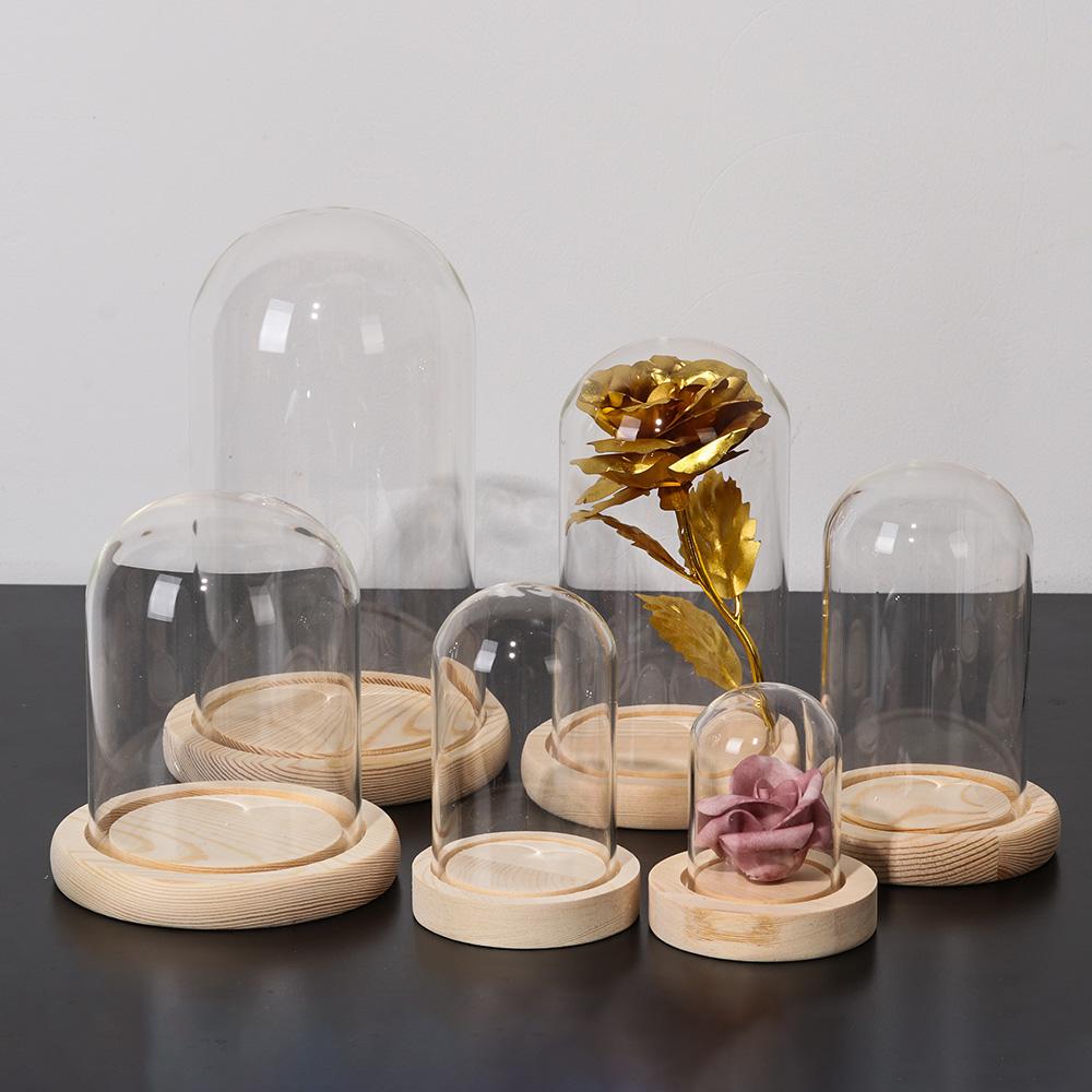 フェアリーライト付きホームデコレーションテラリウム透明ボトル - Vase Decor のレビューと価格